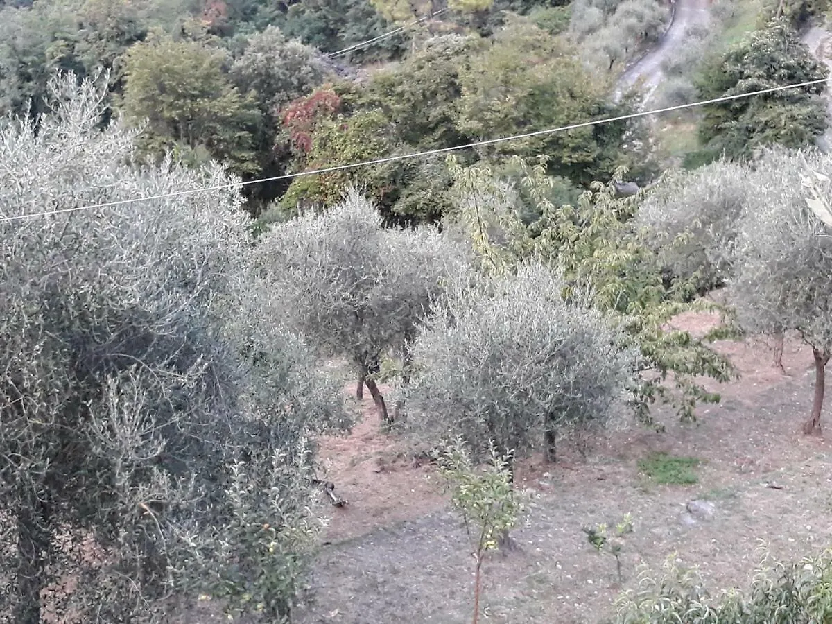 Villa Patrizia La Spezia Guest house